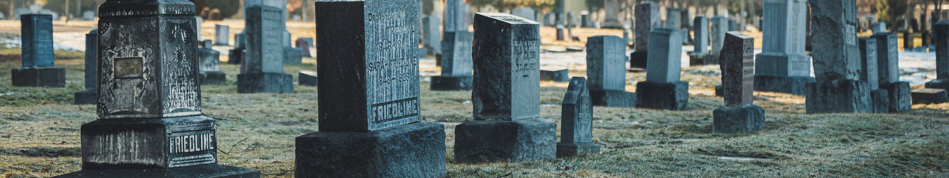 Ba Sdtwt 36658349598