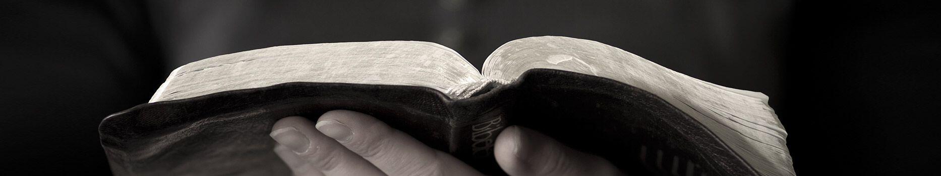 Mit Gewinn Die Bibel Lesen