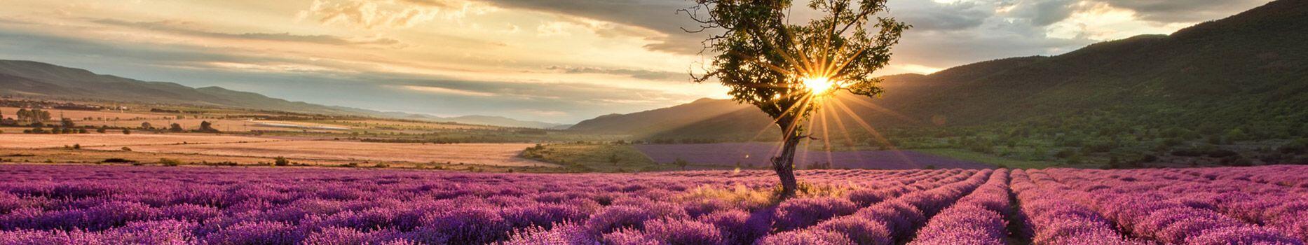 Gott Hoert Gebetserfahrungen