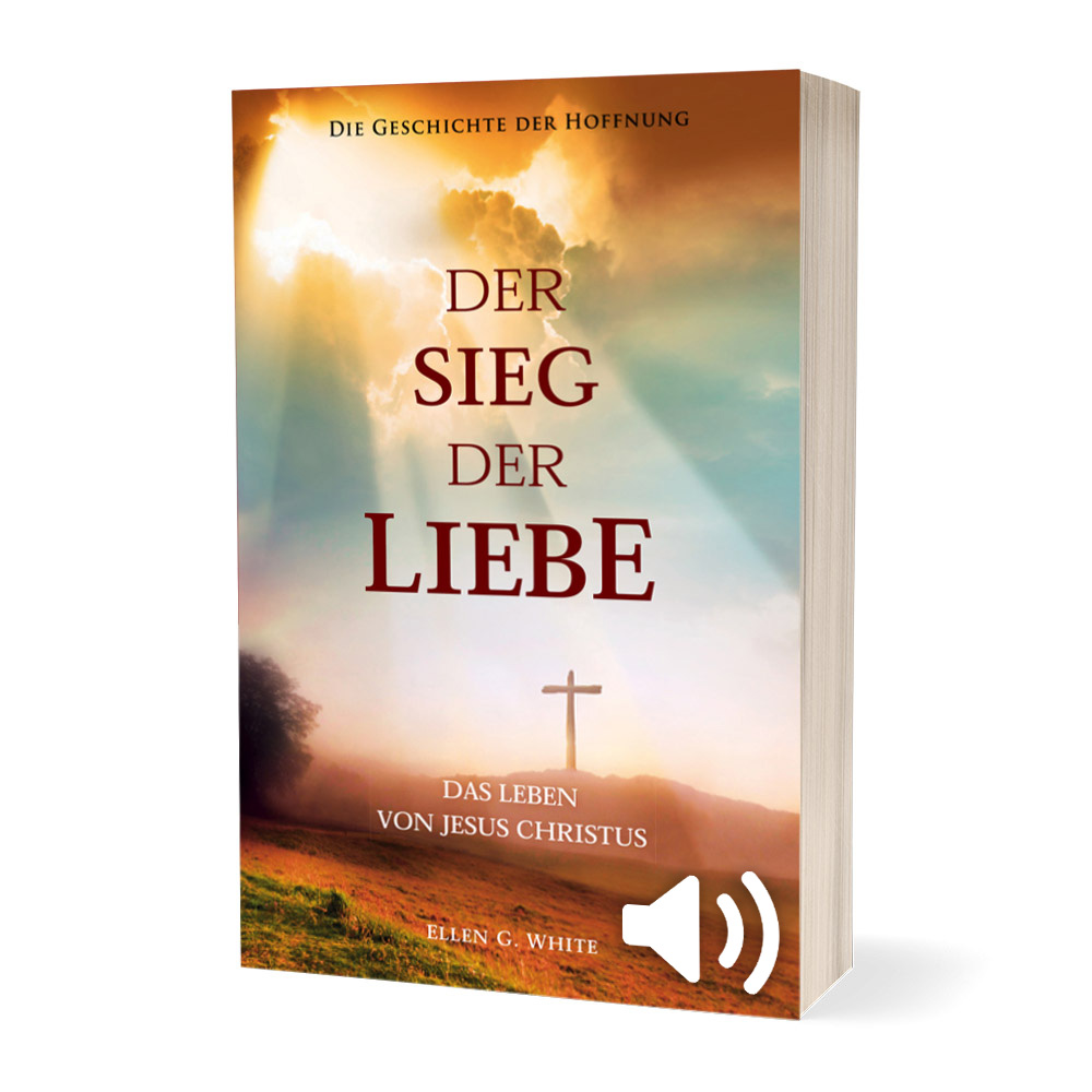 dsdl bild